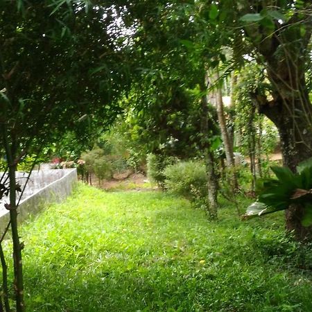 Philip Mary Farm Stay Thekkady Eksteriør billede