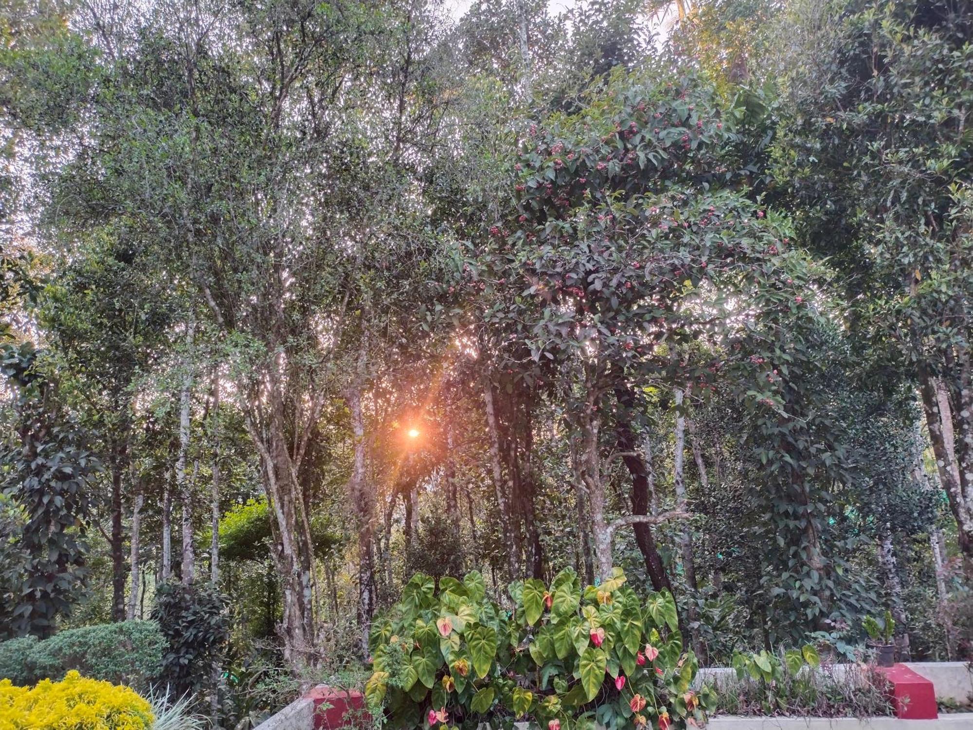 Philip Mary Farm Stay Thekkady Eksteriør billede
