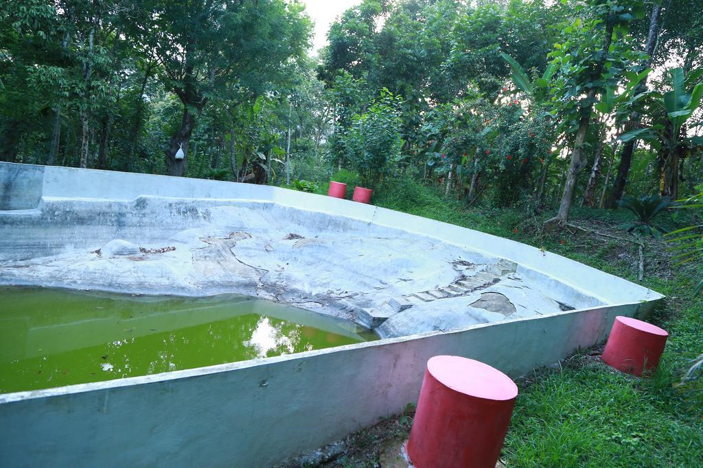 Philip Mary Farm Stay Thekkady Eksteriør billede
