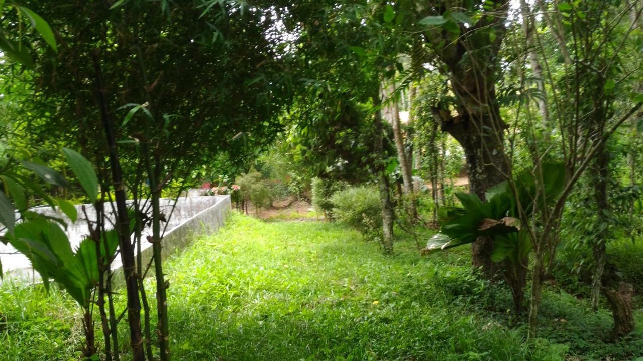 Philip Mary Farm Stay Thekkady Eksteriør billede