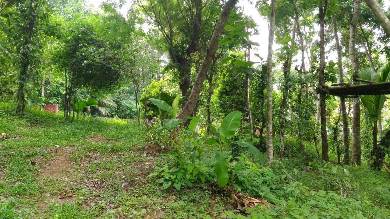 Philip Mary Farm Stay Thekkady Eksteriør billede