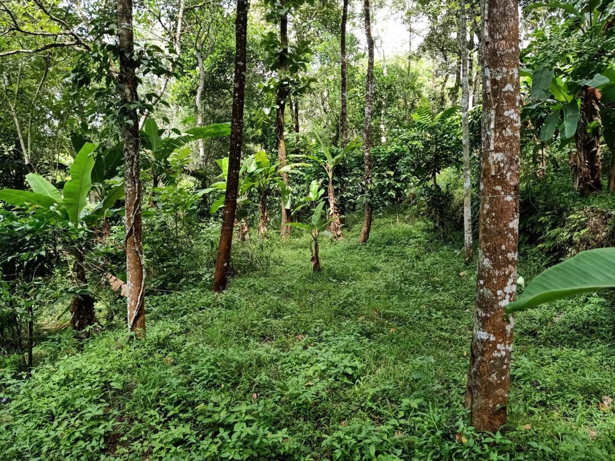 Philip Mary Farm Stay Thekkady Eksteriør billede